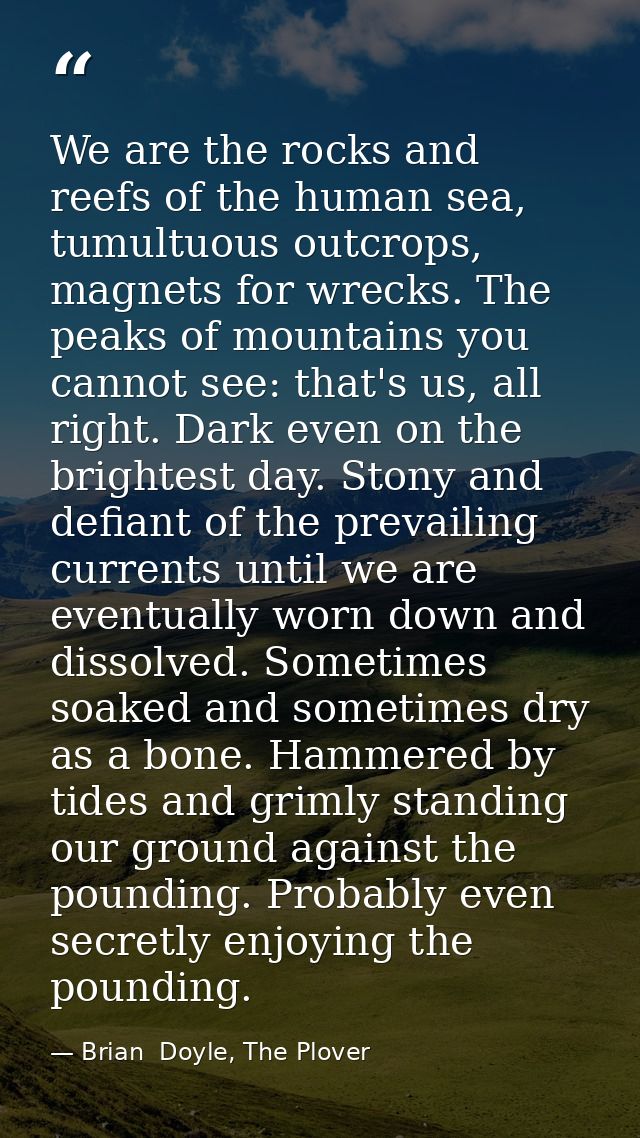 We are the rocks and reefs of the human sea, tumultuous outcrops, magnets for wrecks. The peaks of mountains you cannot  — Brian  Doyle, The Plover