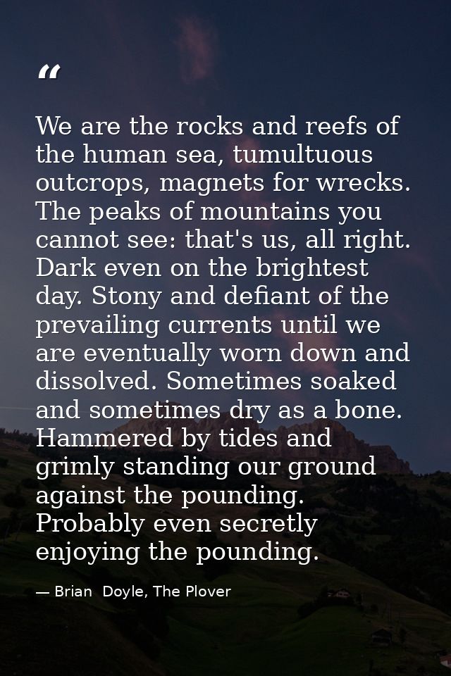 We are the rocks and reefs of the human sea, tumultuous outcrops, magnets for wrecks. The peaks of mountains you cannot  — Brian  Doyle, The Plover