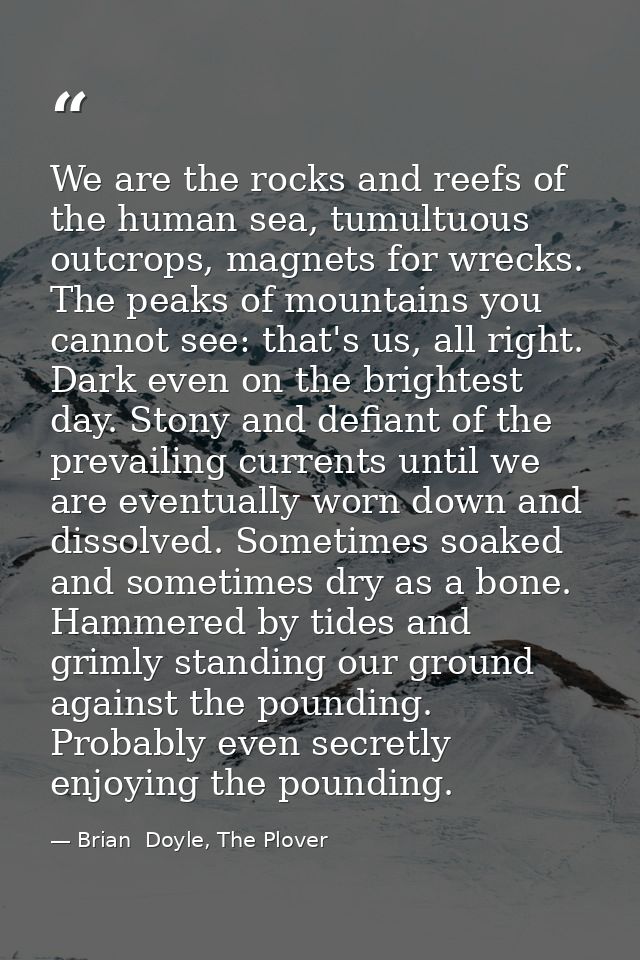 We are the rocks and reefs of the human sea, tumultuous outcrops, magnets for wrecks. The peaks of mountains you cannot  — Brian  Doyle, The Plover
