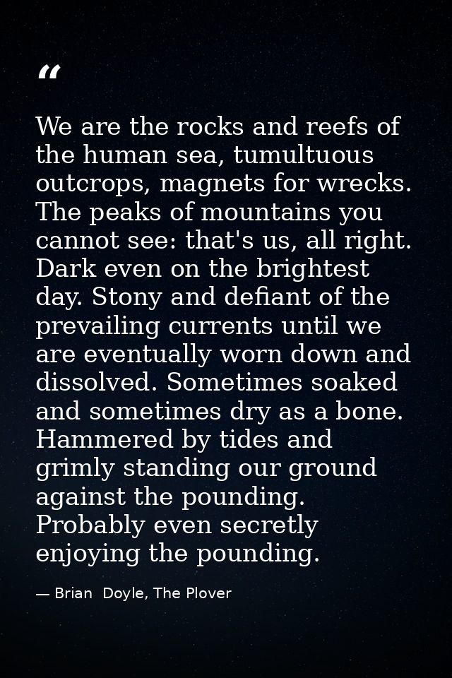 We are the rocks and reefs of the human sea, tumultuous outcrops, magnets for wrecks. The peaks of mountains you cannot  — Brian  Doyle, The Plover