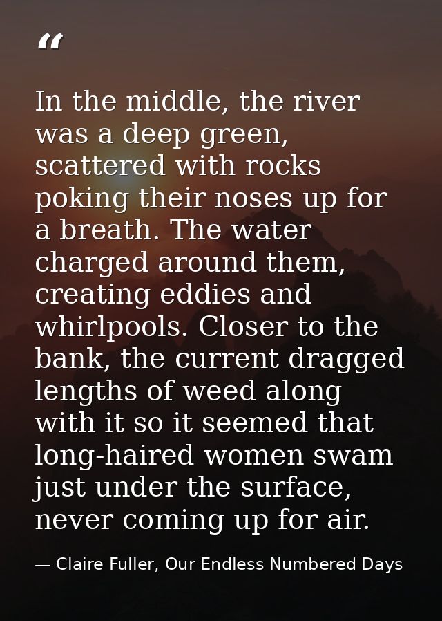In the middle, the river was a deep green, scattered with rocks poking their noses up for a breath. The water charged ar — Claire Fuller, Our Endless Numbered Days