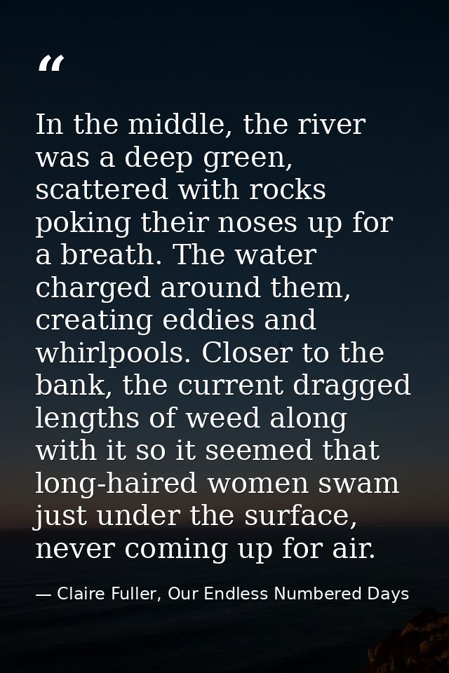 In the middle, the river was a deep green, scattered with rocks poking their noses up for a breath. The water charged ar — Claire Fuller, Our Endless Numbered Days
