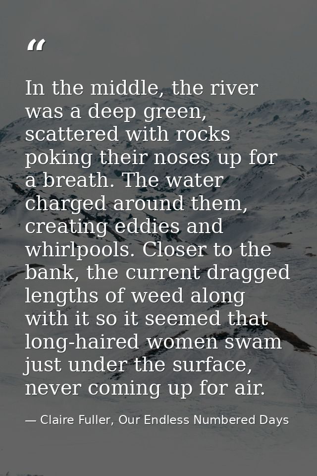 In the middle, the river was a deep green, scattered with rocks poking their noses up for a breath. The water charged ar — Claire Fuller, Our Endless Numbered Days