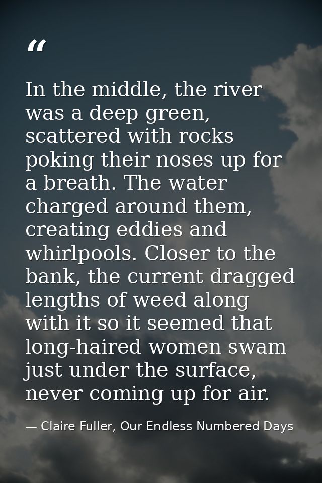 In the middle, the river was a deep green, scattered with rocks poking their noses up for a breath. The water charged ar — Claire Fuller, Our Endless Numbered Days