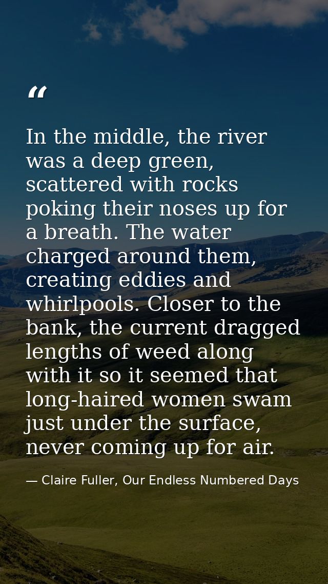 In the middle, the river was a deep green, scattered with rocks poking their noses up for a breath. The water charged ar — Claire Fuller, Our Endless Numbered Days