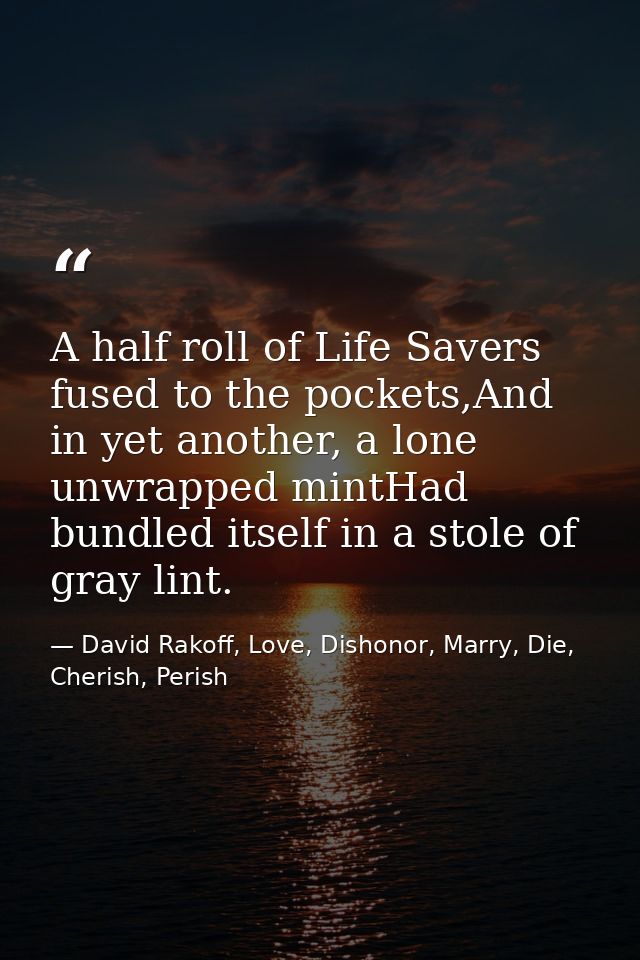 A half roll of Life Savers fused to the pockets,And in yet another, a lone unwrapped mintHad bundled itself in a stole o — David Rakoff, Love, Dishonor, Marry, Die, Cherish, Perish