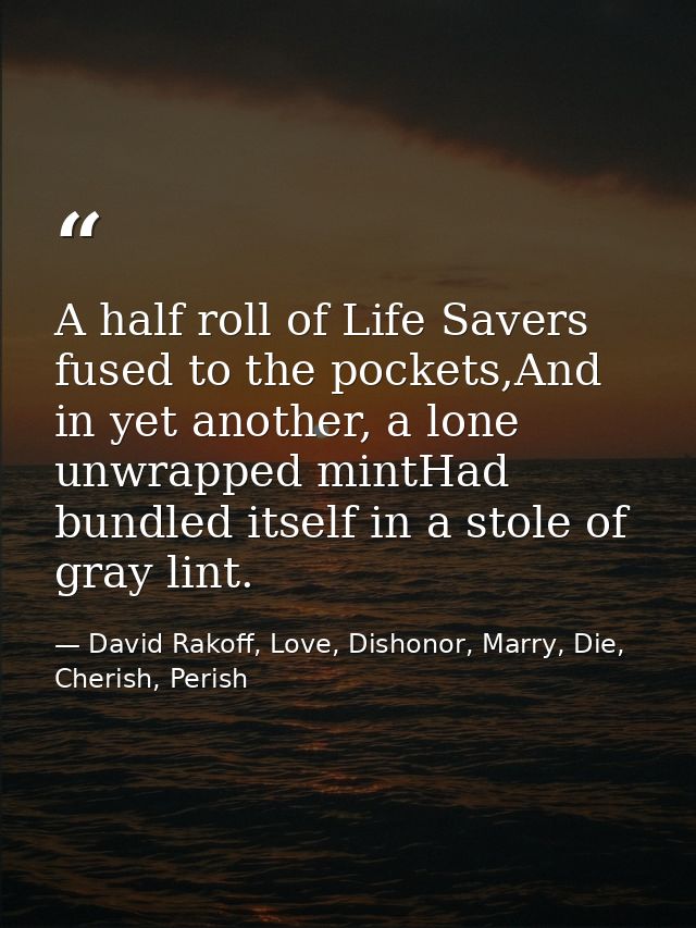 A half roll of Life Savers fused to the pockets,And in yet another, a lone unwrapped mintHad bundled itself in a stole o — David Rakoff, Love, Dishonor, Marry, Die, Cherish, Perish