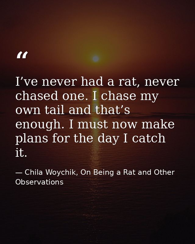 I’ve never had a rat, never chased one. I chase my own tail and that’s enough. I must now make plans for the day I catch — Chila Woychik, On Being a Rat and Other Observations