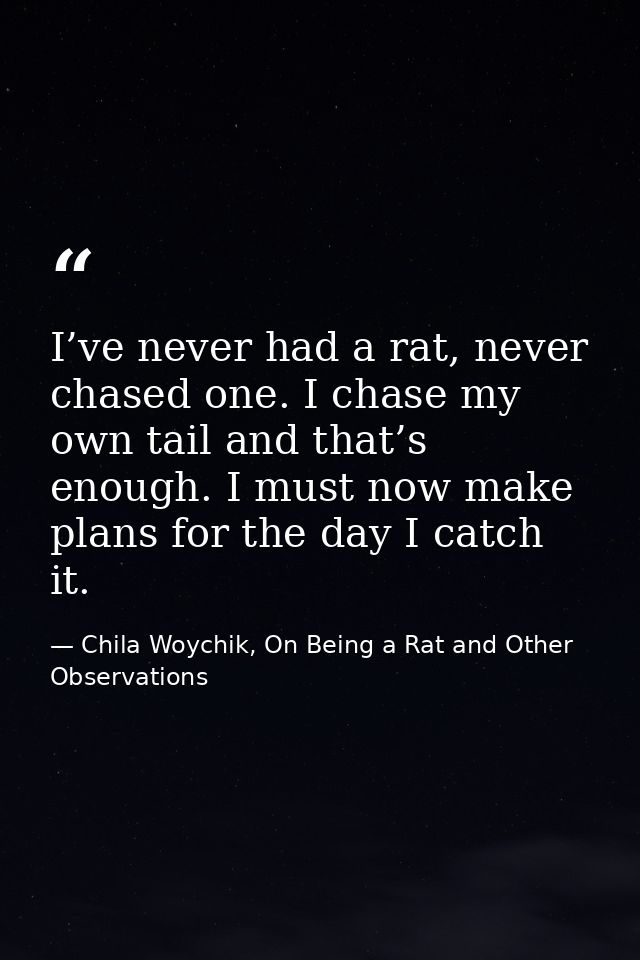 I’ve never had a rat, never chased one. I chase my own tail and that’s enough. I must now make plans for the day I catch — Chila Woychik, On Being a Rat and Other Observations