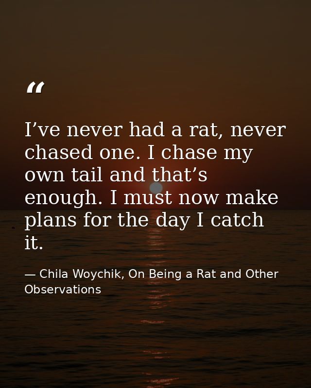I’ve never had a rat, never chased one. I chase my own tail and that’s enough. I must now make plans for the day I catch — Chila Woychik, On Being a Rat and Other Observations