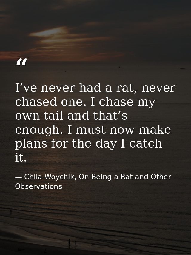 I’ve never had a rat, never chased one. I chase my own tail and that’s enough. I must now make plans for the day I catch — Chila Woychik, On Being a Rat and Other Observations
