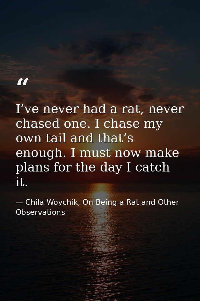 I’ve never had a rat, never chased one. I chase my own tail and that’s enough. I must now make plans for the day I catch — Chila Woychik, On Being a Rat and Other Observations