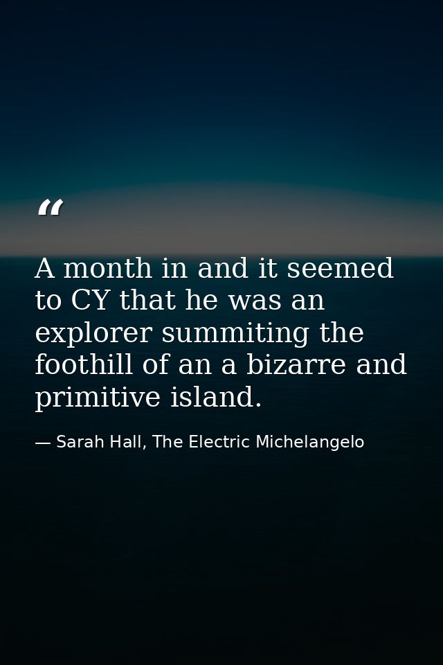 A month in and it seemed to CY that he was an explorer summiting the foothill of an a bizarre and primitive island. — Sarah Hall, The Electric Michelangelo