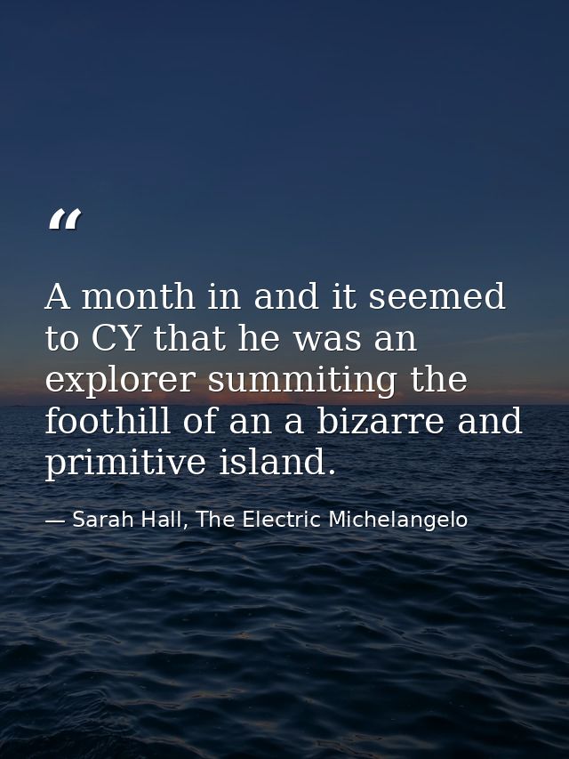 A month in and it seemed to CY that he was an explorer summiting the foothill of an a bizarre and primitive island. — Sarah Hall, The Electric Michelangelo