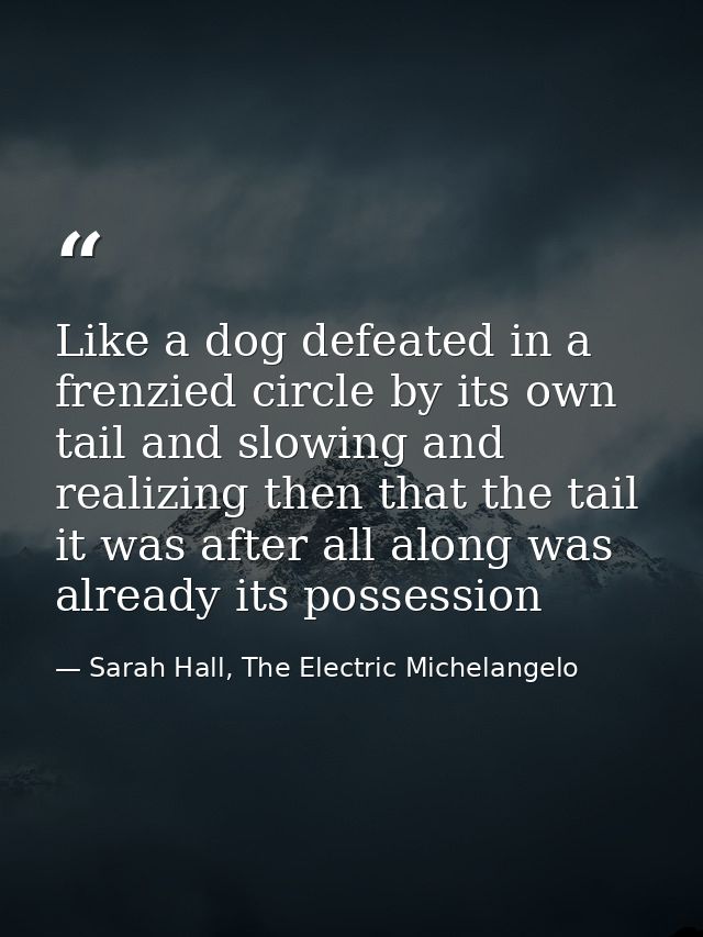 Like a dog defeated in a frenzied circle by its own tail and slowing and realizing then that the tail it was after all a — Sarah Hall, The Electric Michelangelo