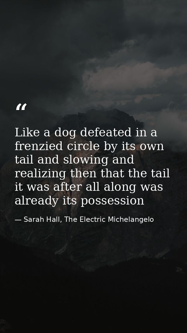 Like a dog defeated in a frenzied circle by its own tail and slowing and realizing then that the tail it was after all a — Sarah Hall, The Electric Michelangelo