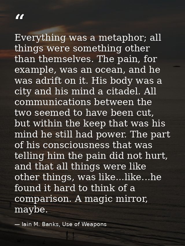 Everything was a metaphor; all things were something other than themselves. The pain, for example, was an ocean, and he  — Iain M. Banks, Use of Weapons