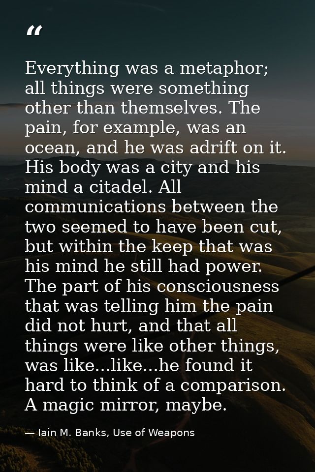 Everything was a metaphor; all things were something other than themselves. The pain, for example, was an ocean, and he  — Iain M. Banks, Use of Weapons