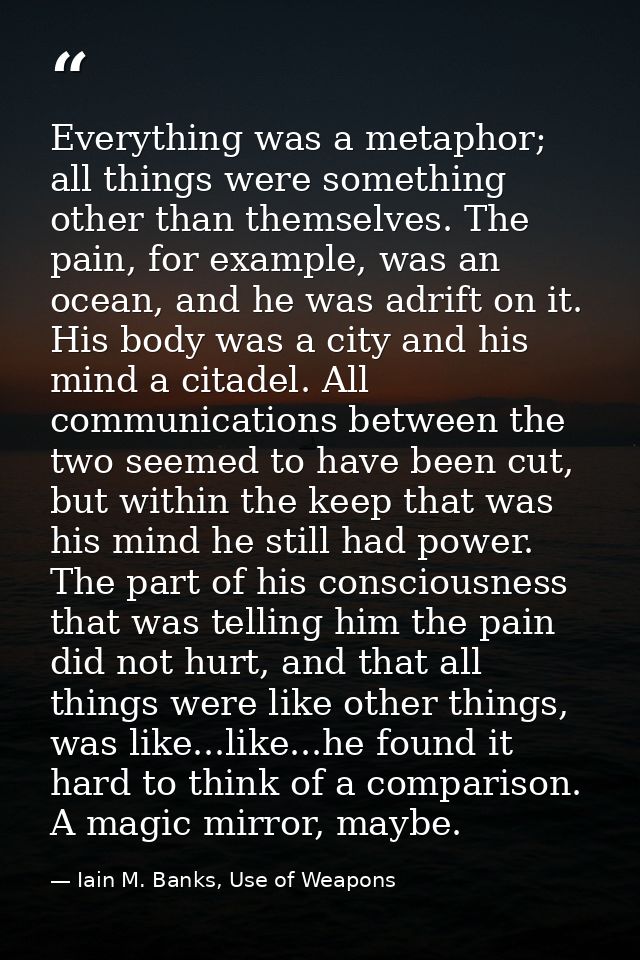 Everything was a metaphor; all things were something other than themselves. The pain, for example, was an ocean, and he  — Iain M. Banks, Use of Weapons