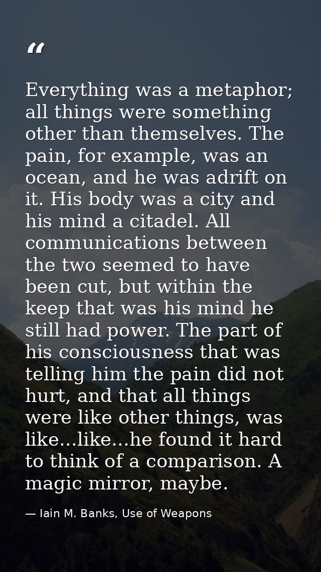 Everything was a metaphor; all things were something other than themselves. The pain, for example, was an ocean, and he  — Iain M. Banks, Use of Weapons