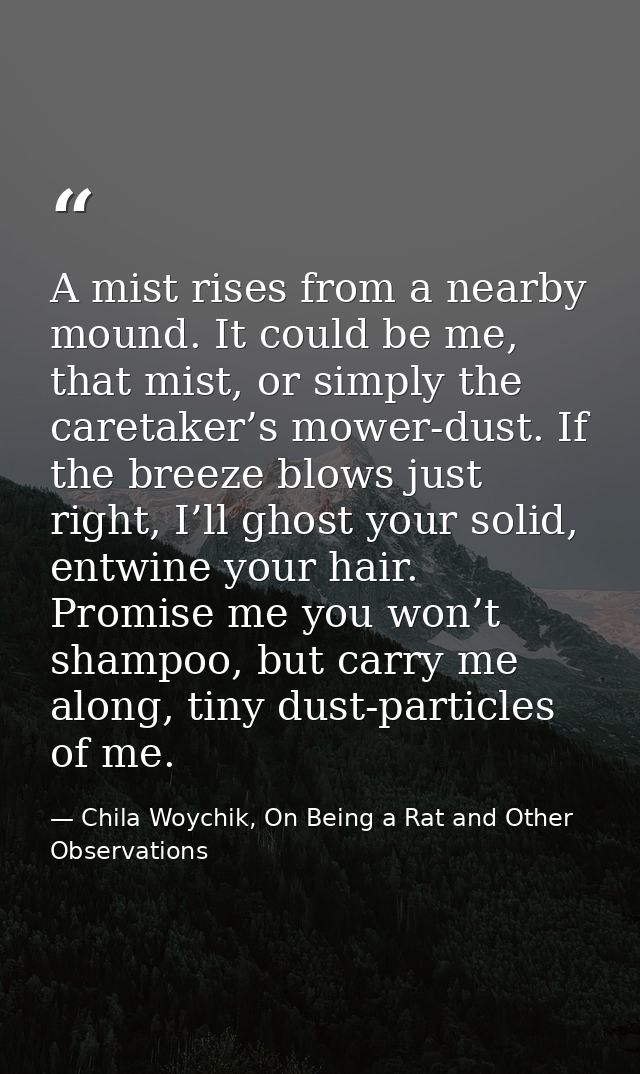 A mist rises from a nearby mound. It could be me, that mist, or simply the caretaker’s mower-dust. If the breeze blows j — Chila Woychik, On Being a Rat and Other Observations