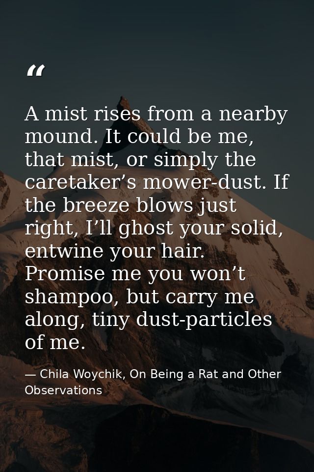 A mist rises from a nearby mound. It could be me, that mist, or simply the caretaker’s mower-dust. If the breeze blows j — Chila Woychik, On Being a Rat and Other Observations