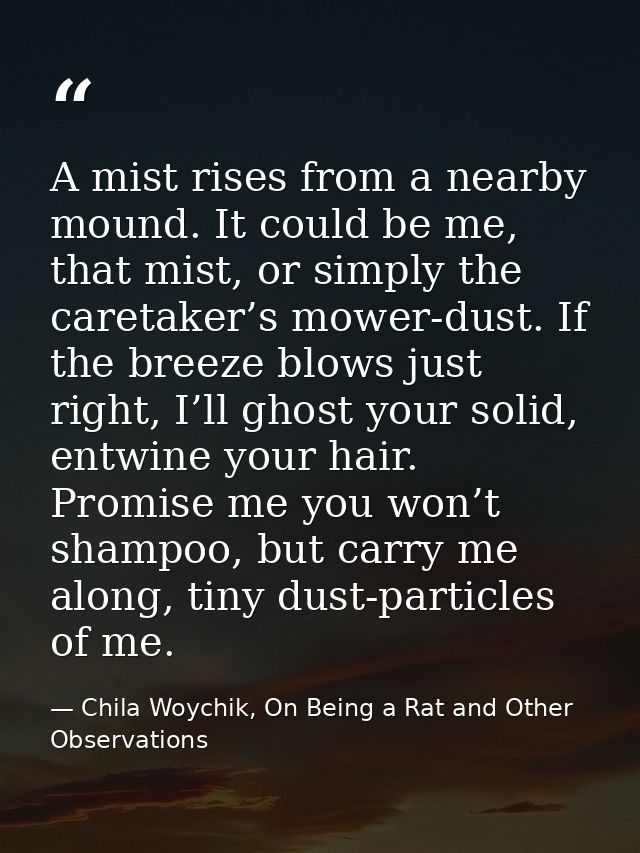 A mist rises from a nearby mound. It could be me, that mist, or simply the caretaker’s mower-dust. If the breeze blows j — Chila Woychik, On Being a Rat and Other Observations