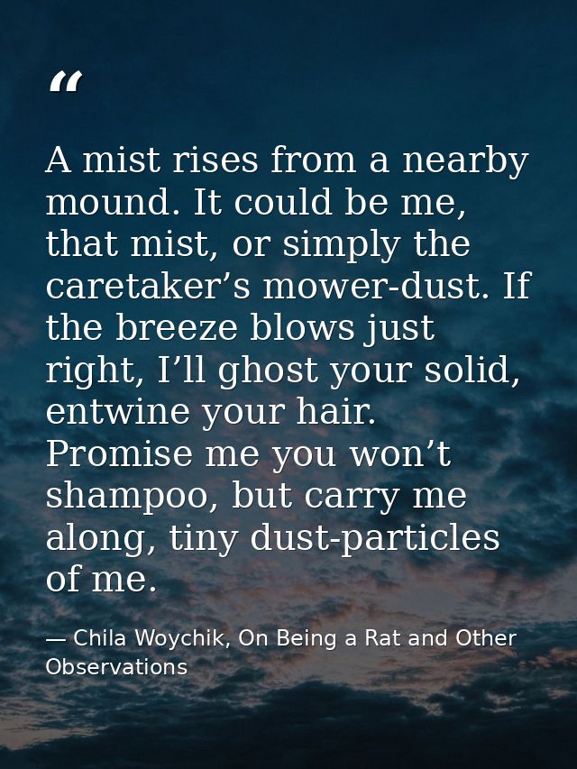 A mist rises from a nearby mound. It could be me, that mist, or simply the caretaker’s mower-dust. If the breeze blows j — Chila Woychik, On Being a Rat and Other Observations