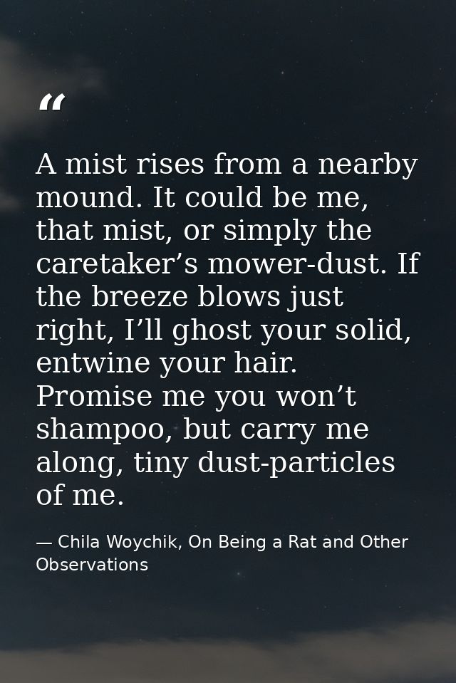 A mist rises from a nearby mound. It could be me, that mist, or simply the caretaker’s mower-dust. If the breeze blows j — Chila Woychik, On Being a Rat and Other Observations