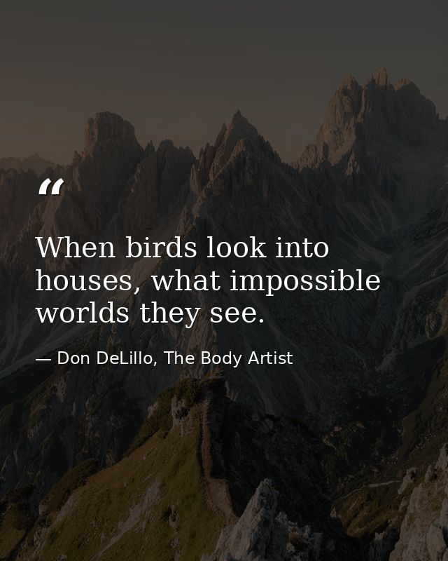 When birds look into houses, what impossible worlds they see. — Don DeLillo, The Body Artist