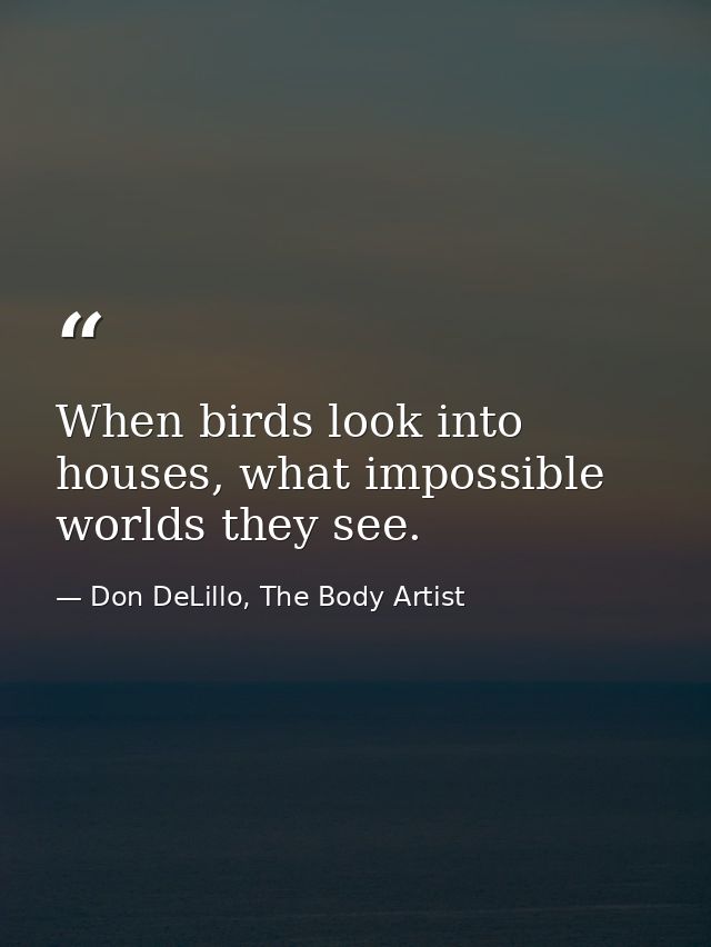 When birds look into houses, what impossible worlds they see. — Don DeLillo, The Body Artist