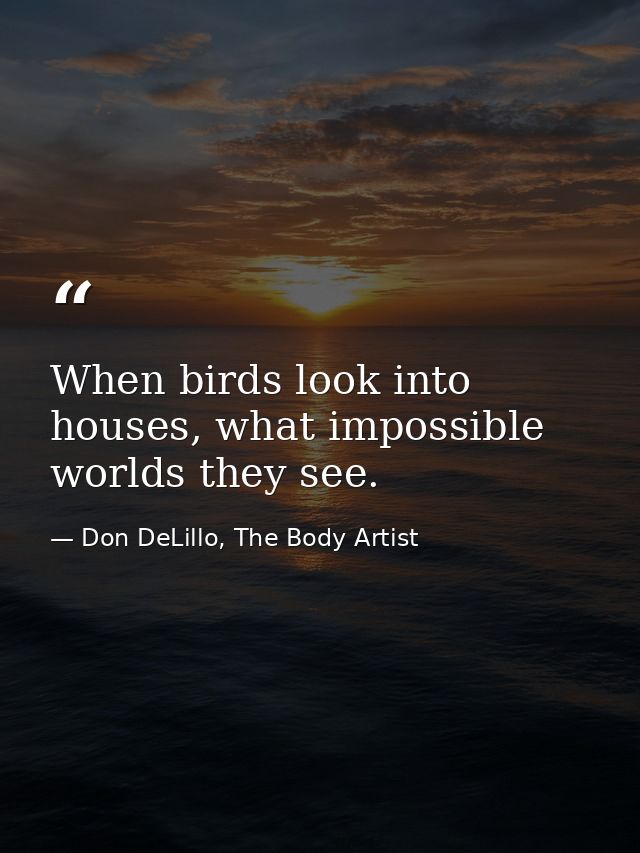 When birds look into houses, what impossible worlds they see. — Don DeLillo, The Body Artist