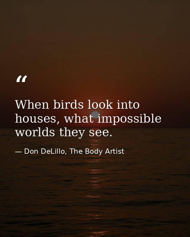 When birds look into houses, what impossible worlds they see. — Don DeLillo, The Body Artist