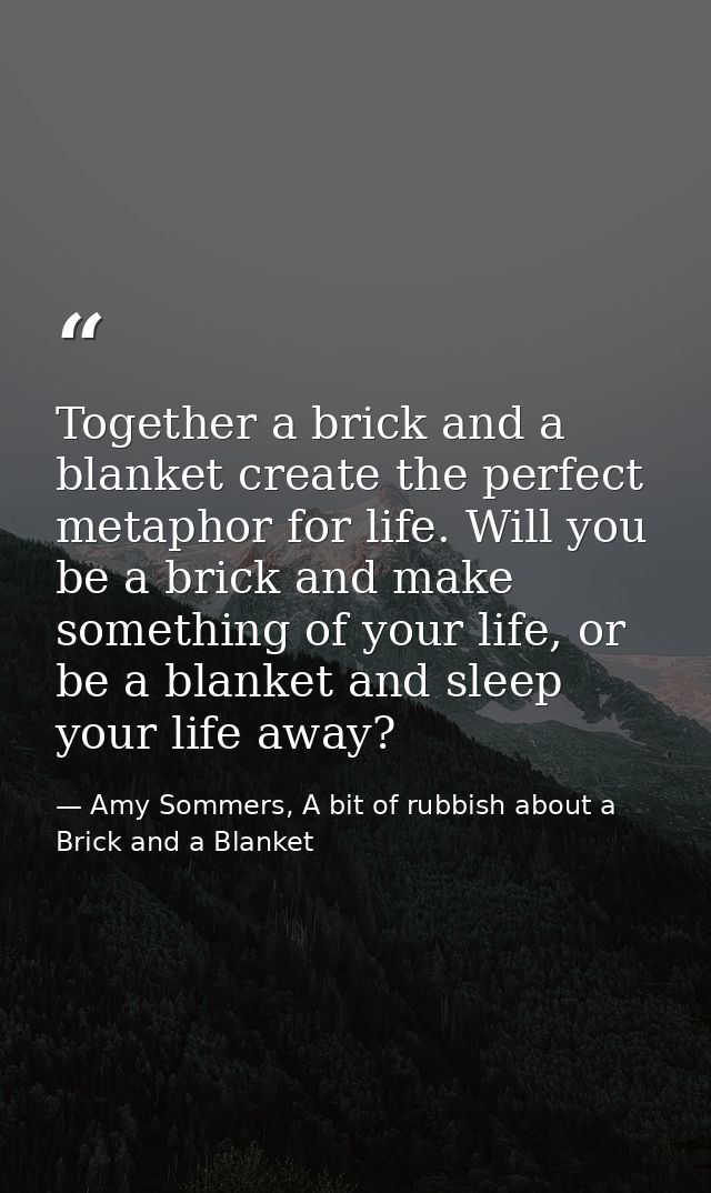Together a brick and a blanket create the perfect metaphor for life. Will you be a brick and make something of your life — Amy Sommers, A bit of rubbish about a Brick and a Blanket