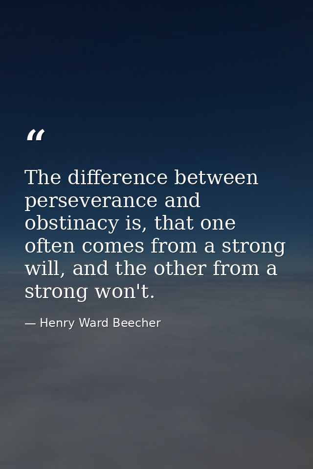 The difference between perseverance and obstinacy is, that one often comes from a strong will, and the other from a stro — Henry Ward Beecher
