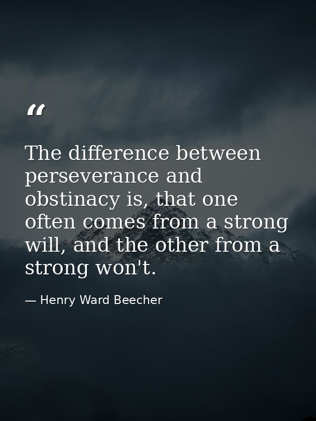The difference between perseverance and obstinacy is, that one often comes from a strong will, and the other from a stro — Henry Ward Beecher