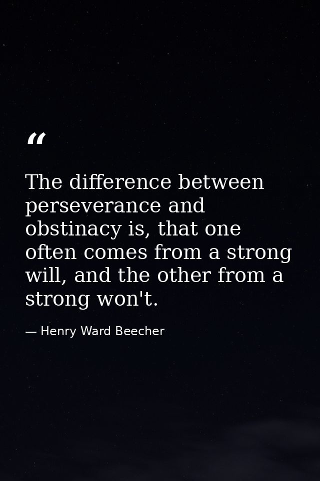The difference between perseverance and obstinacy is, that one often comes from a strong will, and the other from a stro — Henry Ward Beecher