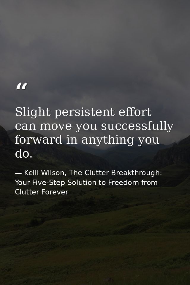 Slight persistent effort can move you successfully forward in anything you do. — Kelli Wilson, The Clutter Breakthrough: Your Five-Step Solution to Freedom from Clutter Forever
