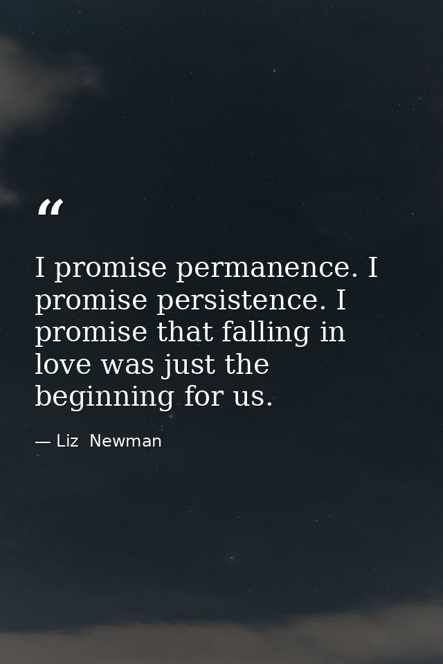 I promise permanence. I promise persistence. I promise that falling in love was just the beginning for us. — Liz  Newman