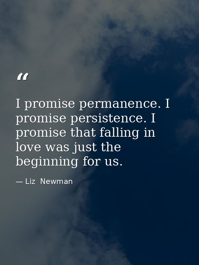 I promise permanence. I promise persistence. I promise that falling in love was just the beginning for us. — Liz  Newman