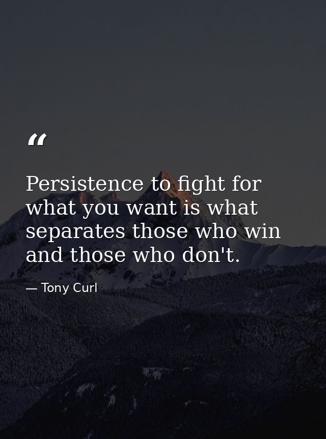 Persistence to fight for what you want is what separates those who win and those who don't. — Tony Curl