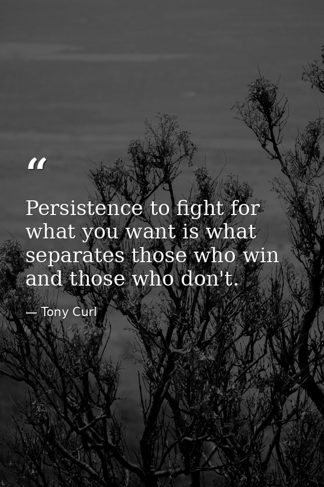 Persistence to fight for what you want is what separates those who win and those who don't. — Tony Curl