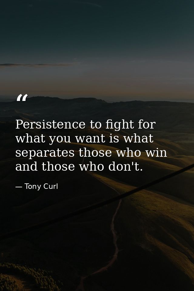 Persistence to fight for what you want is what separates those who win and those who don't. — Tony Curl
