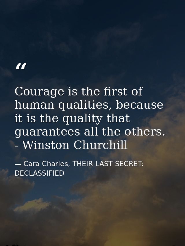 Courage is the first of human qualities, because it is the quality that guarantees all the others.  - Winston Churchill — Cara Charles, THEIR LAST SECRET: DECLASSIFIED
