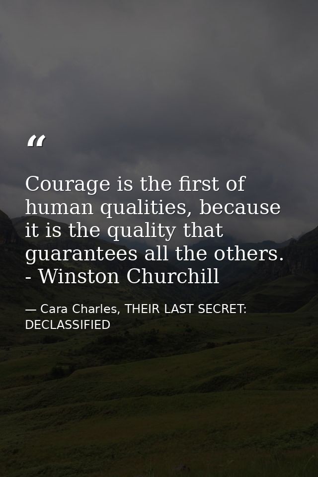 Courage is the first of human qualities, because it is the quality that guarantees all the others.  - Winston Churchill — Cara Charles, THEIR LAST SECRET: DECLASSIFIED