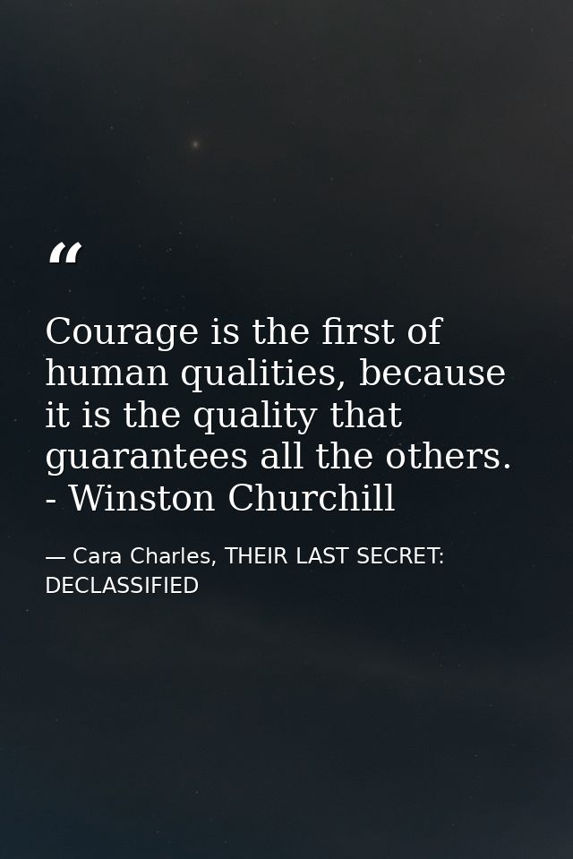 Courage is the first of human qualities, because it is the quality that guarantees all the others.  - Winston Churchill — Cara Charles, THEIR LAST SECRET: DECLASSIFIED