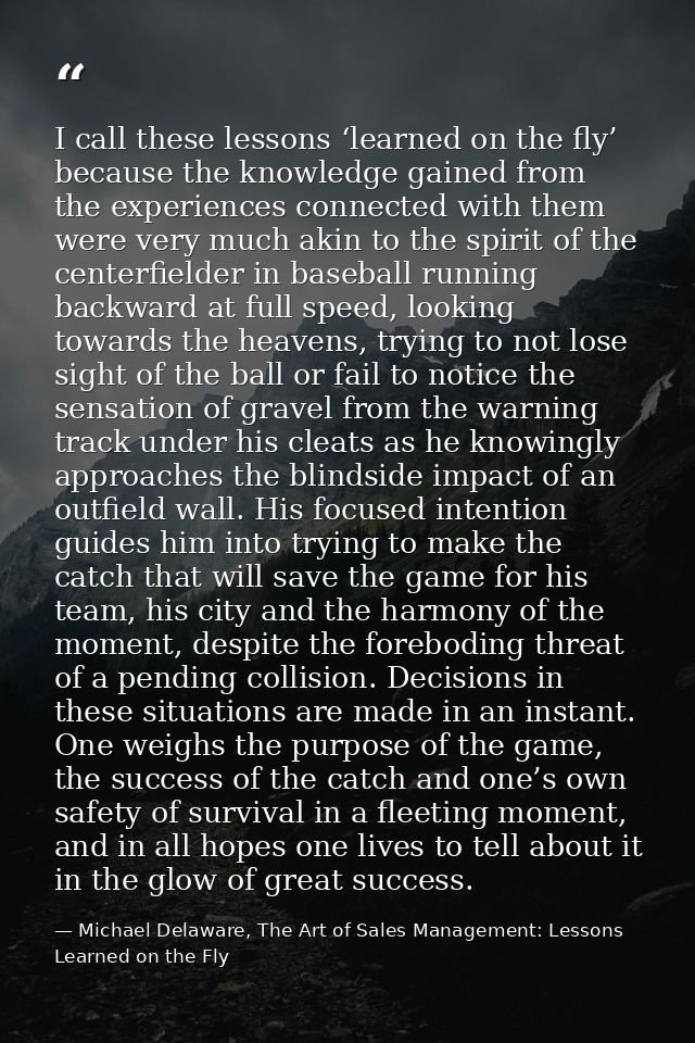 I call these lessons ‘learned on the fly’ because the knowledge gained from the experiences connected with them were ver — Michael Delaware, The Art of Sales Management: Lessons Learned on the Fly