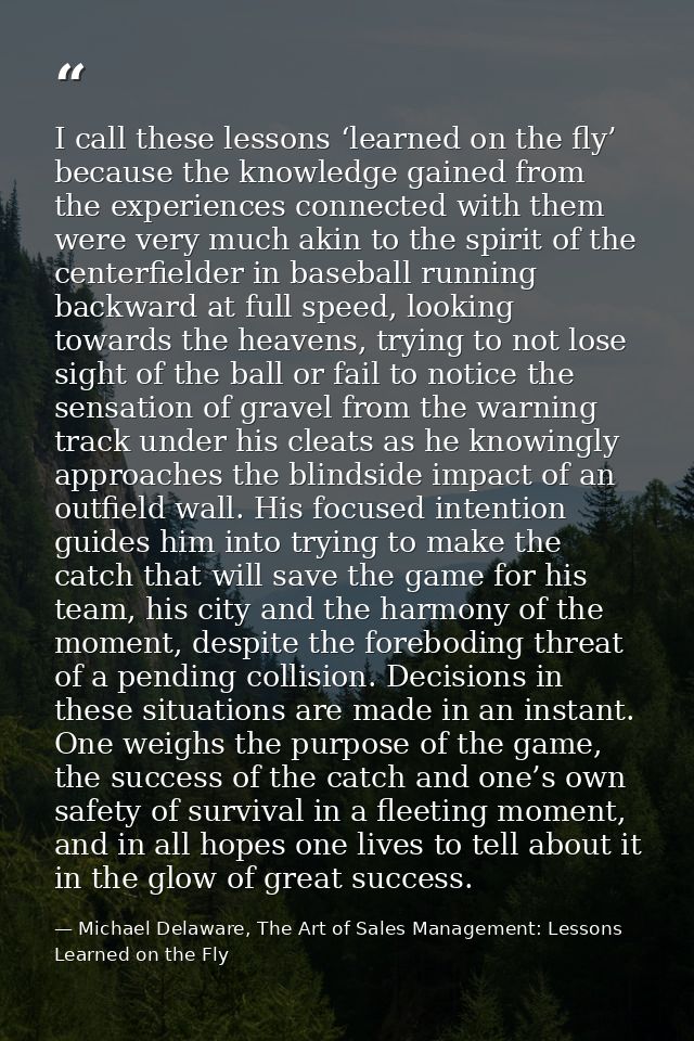 I call these lessons ‘learned on the fly’ because the knowledge gained from the experiences connected with them were ver — Michael Delaware, The Art of Sales Management: Lessons Learned on the Fly