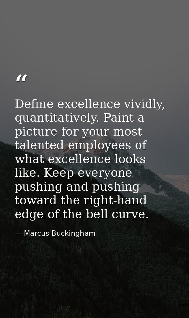 Define excellence vividly, quantitatively. Paint a picture for your most talented employees of what excellence looks lik — Marcus Buckingham