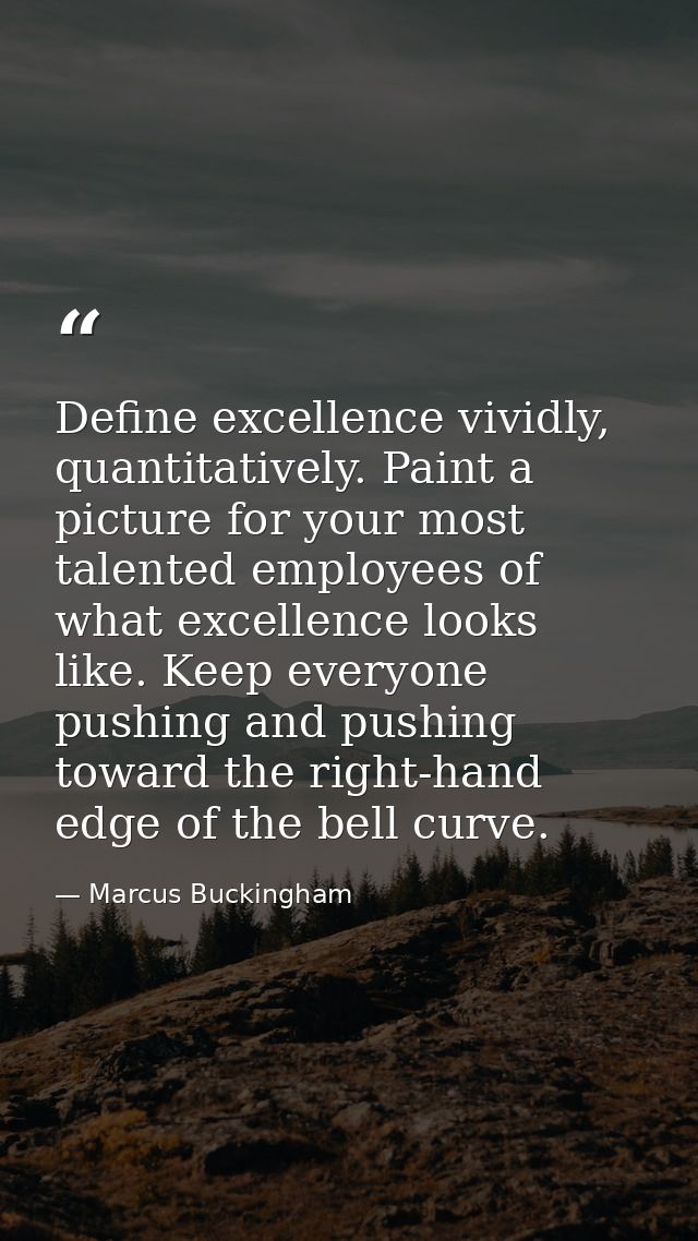 Define excellence vividly, quantitatively. Paint a picture for your most talented employees of what excellence looks lik — Marcus Buckingham